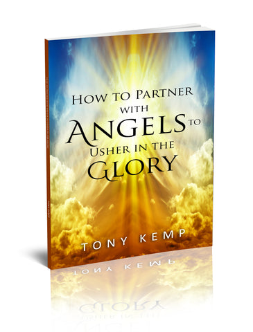 How to Partner with Angels